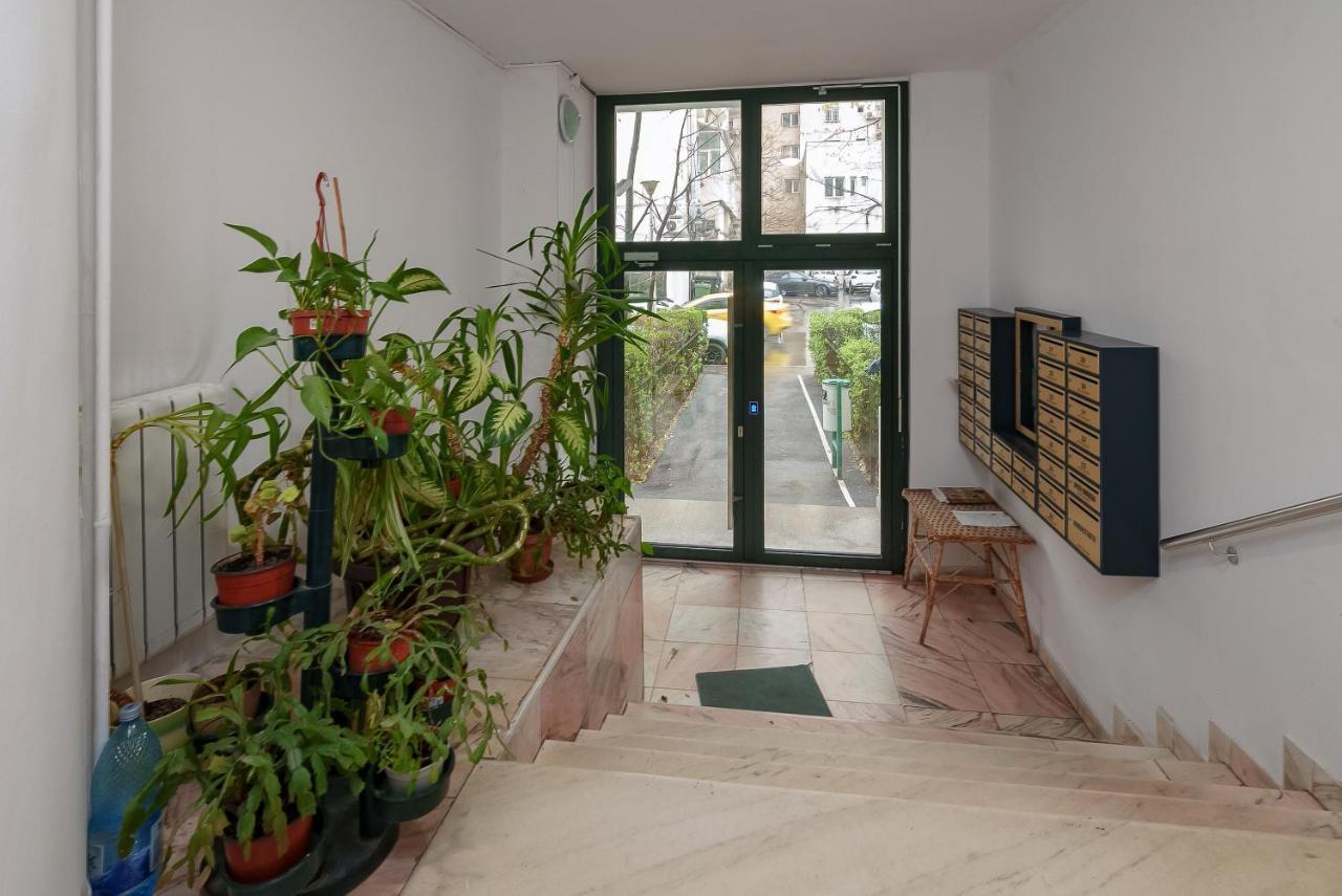 布加勒斯特Vlad House Burebista Alba Iulia New公寓 外观 照片